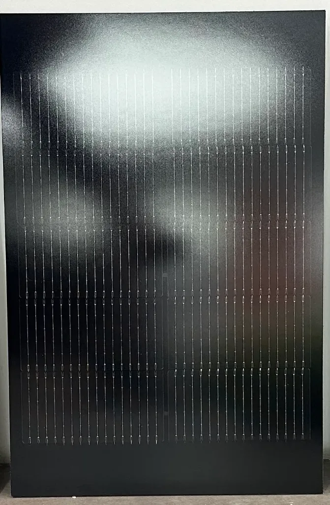 Black Beauty – schwarze Optik, bifazial